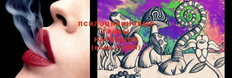 купить наркотик  Валдай  mega зеркало  Галлюциногенные грибы MAGIC MUSHROOMS 